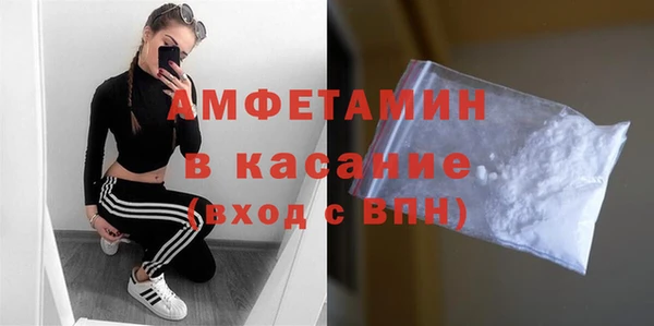 индика Алексин