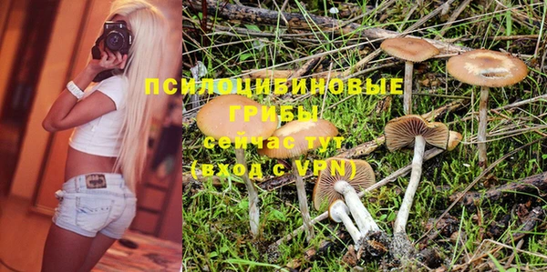 spice Алексеевка