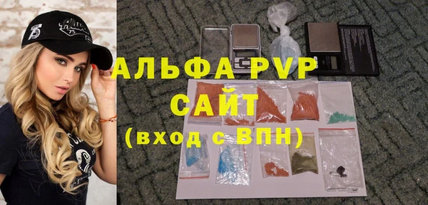 индика Алексин