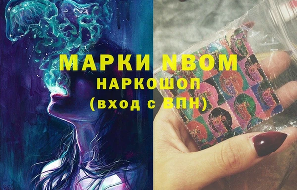 индика Алексин