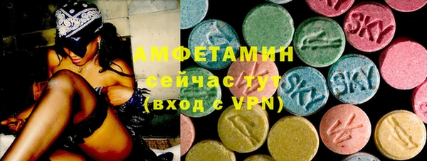 индика Алексин
