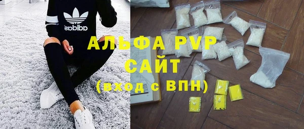 индика Алексин