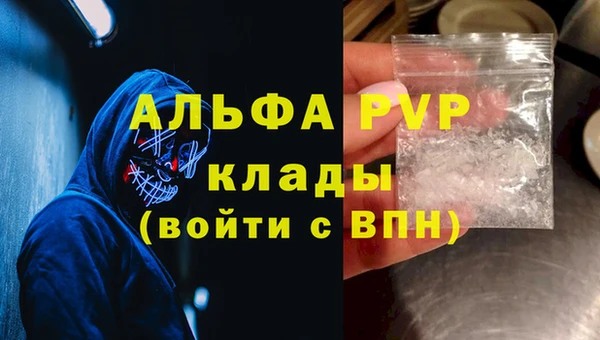 индика Алексин
